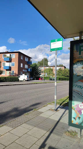 Lund Eka - Visual