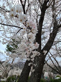 河口湖コテージminami