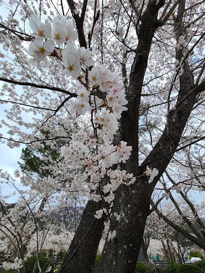 河口湖コテージminami