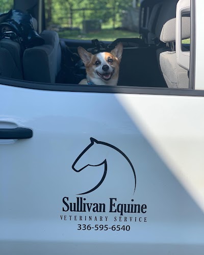 Sullivan Equine Veterinary Service