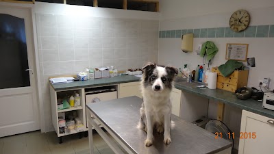 Photos of Dr. Sebesztha L&aacute;szl&oacute; Veterinary Surgery