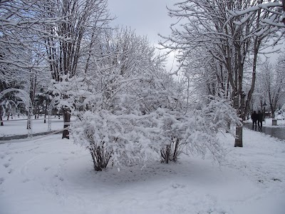 Mimar Sinan Parkı