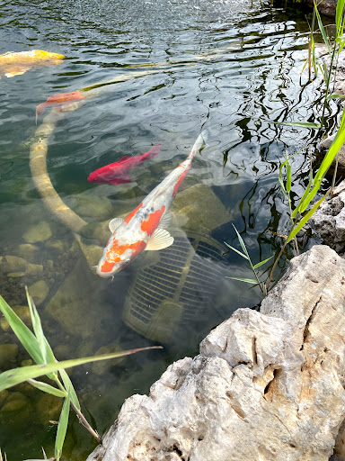 Photo de AQUA SERVICES Jardins & Piscines