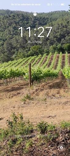 Celler Can Sais - Vins naturals