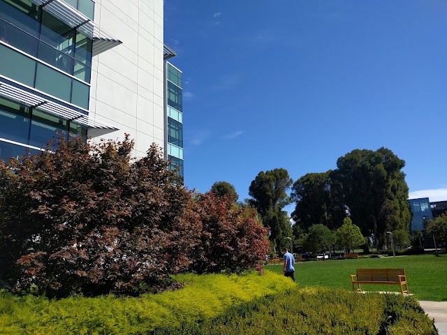 Samsung Research America