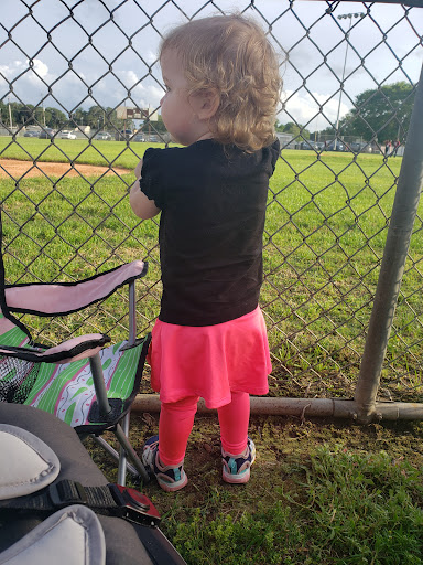 Dixie Youth Fields - Visual