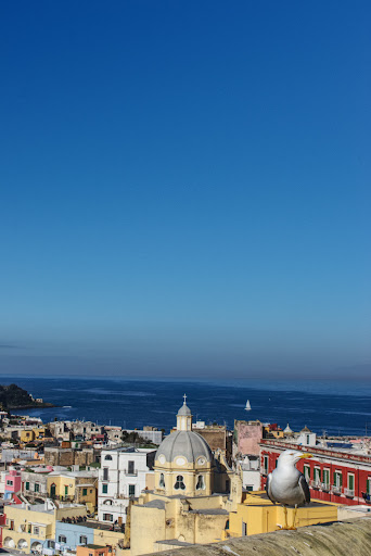 Procida Click - Visual