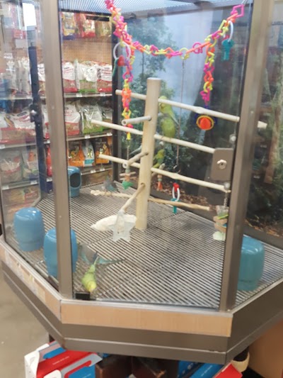 Petco