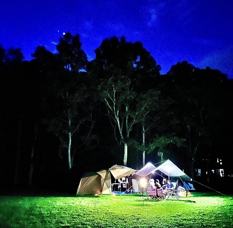 熊谷牧場・雛戸 ブルーベリーキャンプガーデン