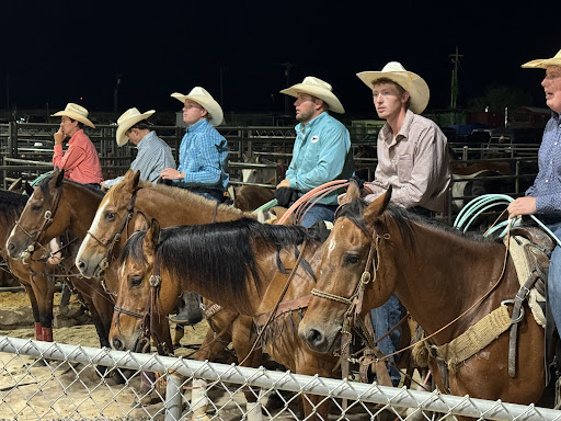 Fairgrounds Arena -Peanut Festival - Thumbnail