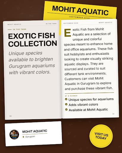 Discover a stunning Exotic Fish Collection at MOHIT AQUATIC in Gurugram. Visit us for premium aqu… post image
