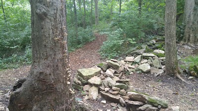 Photos of Walter Bradley Park
