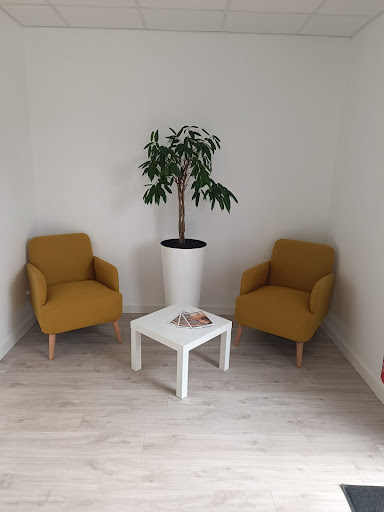 Institut Amazonite - Visual