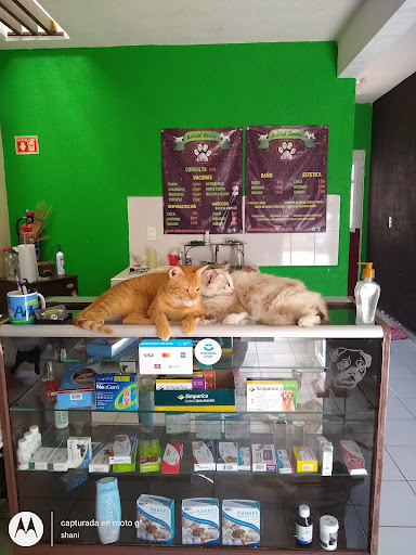 Animal Center Cancún