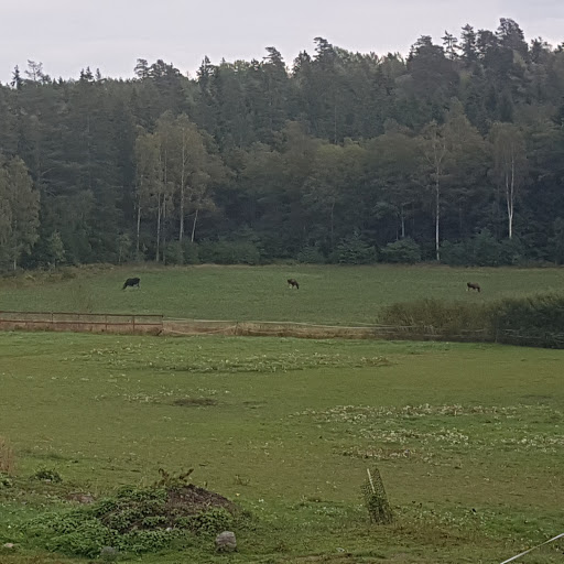 Sörmlandsleden, etapp 5:2 - Thumbnail