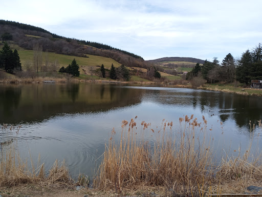 Yzeron Natural Park - Thumbnail