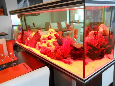 Photos of Locafish Aquarium
