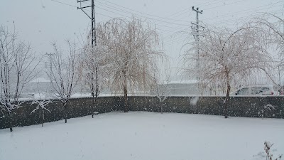 Bulanık Arena Stadı