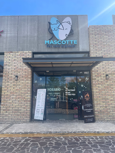 Mascotte Pet Care & Groom - Thumbnail