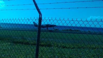 Photos of Cane Field