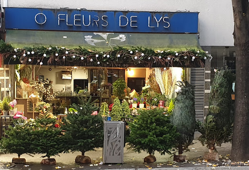 O FLEURS DE LYS - Thumbnail