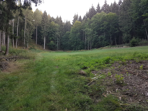 Rabengrund - Visual