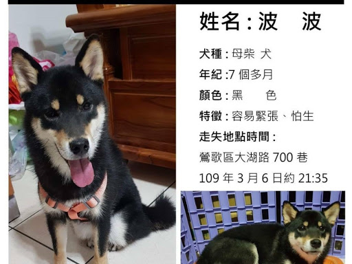 比佛利寵物水族時尚館 鶯歌店 寵物用品店