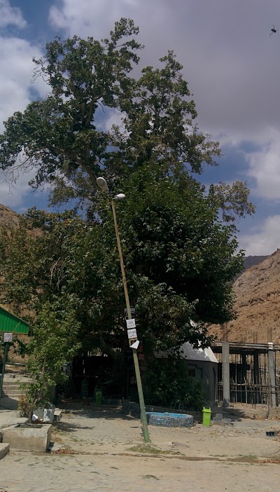 Photos of امام زاده حمزه