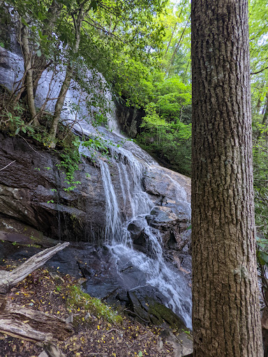 Bearden Falls - Visual