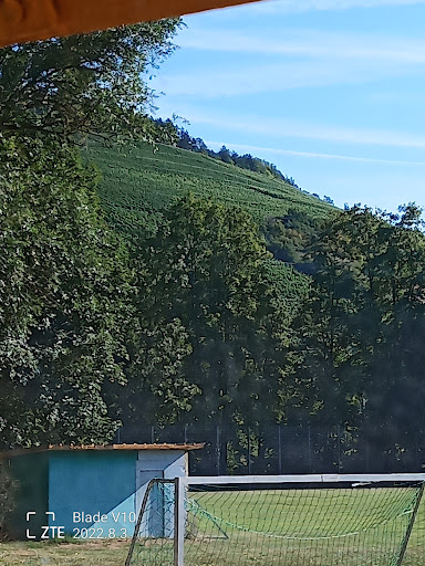 Wohnmobilstellplatz Gerlachsheim - Thumbnail