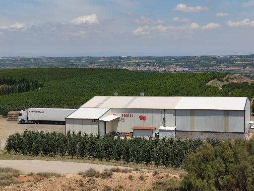 Frutas daniel - Thumbnail