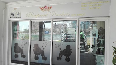 Photos of Pampered Poochies