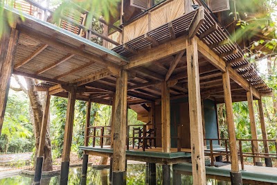 Photos of Diyabubula, the Barberyn Art & Jungle Hideaway