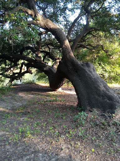 Brazoria County Parks Department - Thumbnail