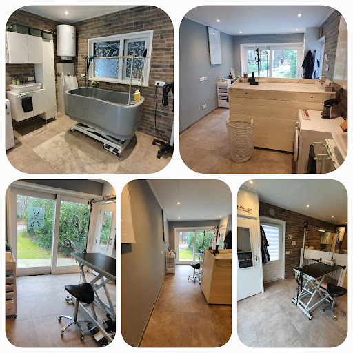 Pets Hair Studio Gallery - Netherlands