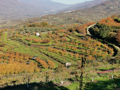 Ruta del Castañar - Thumbnail