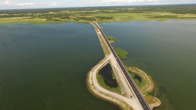 Photos of V&auml;ikese v&auml;ina tamm