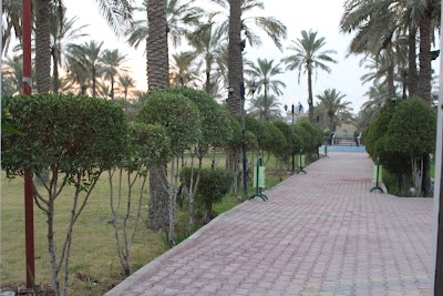 Photos of Palm Family Park