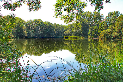 Denkendorfer Erlachsee