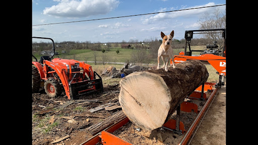 Avatar for Hillbilly Hardwoods