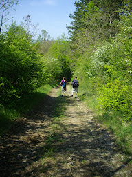 Photo n°16 de Office de Tourisme de Charmes à Charmes (Office de tourisme)