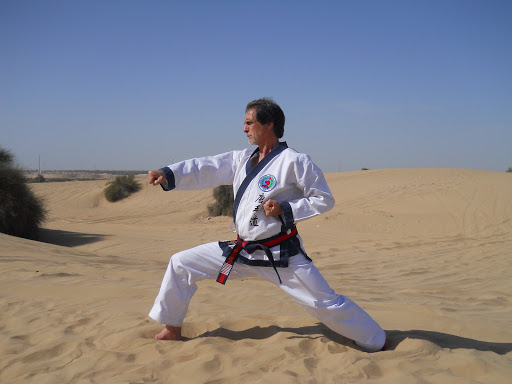 Tang Soo Karate Academy - Thumbnail