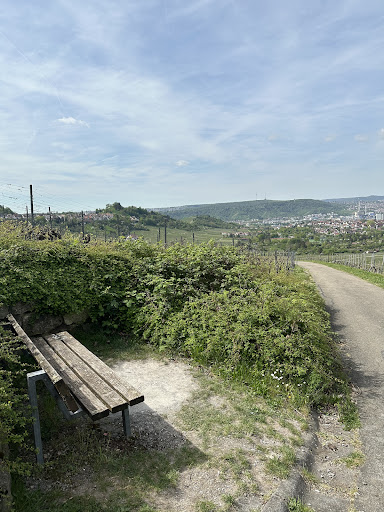 Treppen im Weinberg - Thumbnail