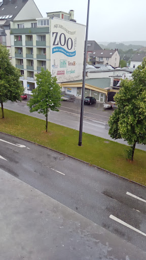 Enterprise Autovermietung und Transporter - Wuppertal - Thumbnail