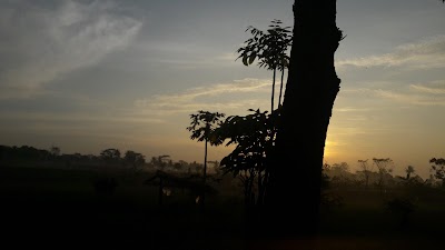 Photos of surVive GIEZAG