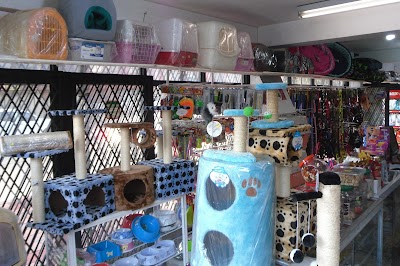 veterinary-care