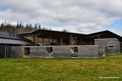 Photos of Museum S&oslash;nderjylland, Naturhistori and paleontology
