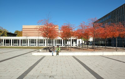 university