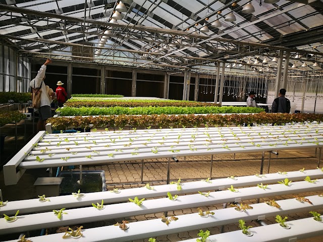 Royal Park Rajapruek