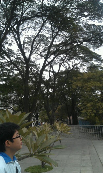Photos of Longshan High School